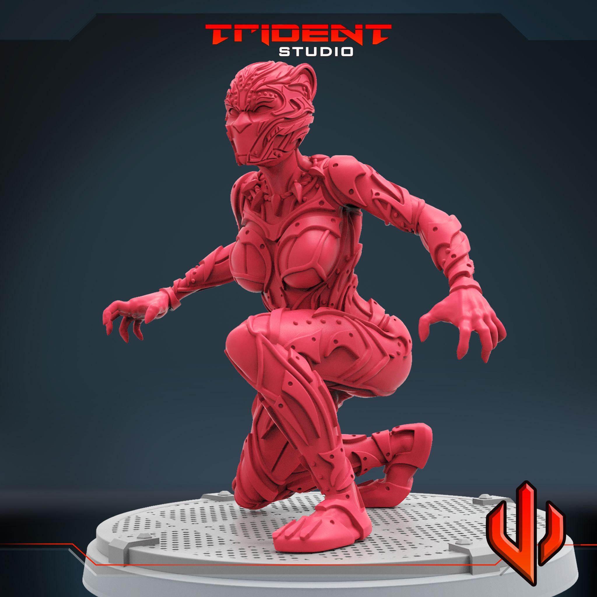 Black Panther Shuri A (Fan art sculpted by Trident Studio) (Crisis Protocol Proxy/Alternative)