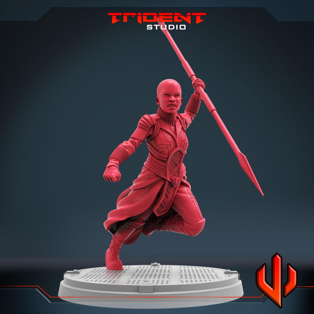 Okoye  (Fan art sculpted by Trident Studio) (Crisis Protocol Proxy/Alternative)