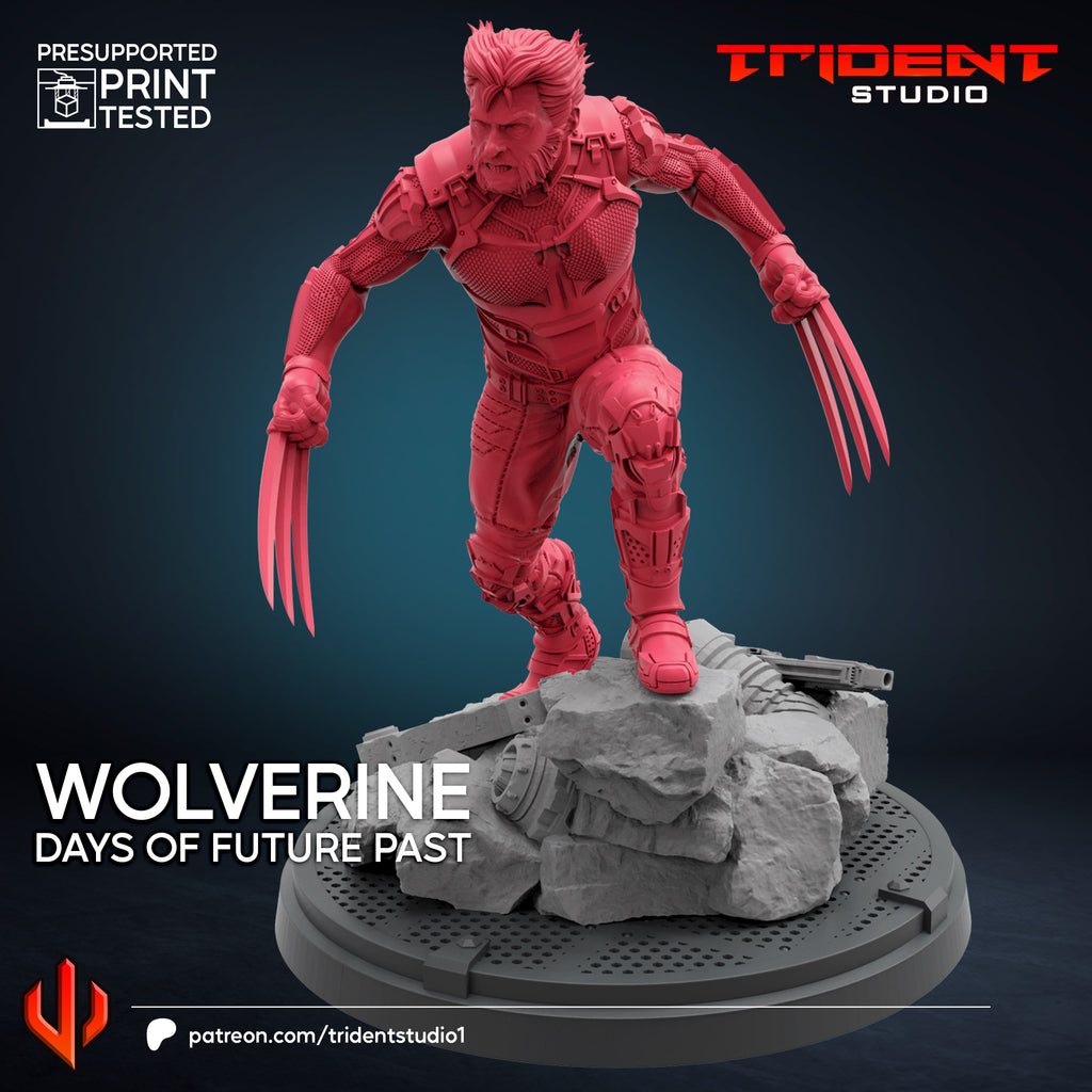 Wolverine X-men Days Of Future Past