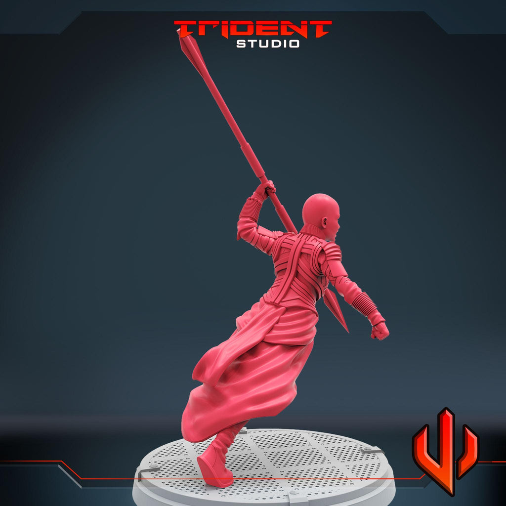 Okoye  (Fan art sculpted by Trident Studio) (Crisis Protocol Proxy/Alternative)