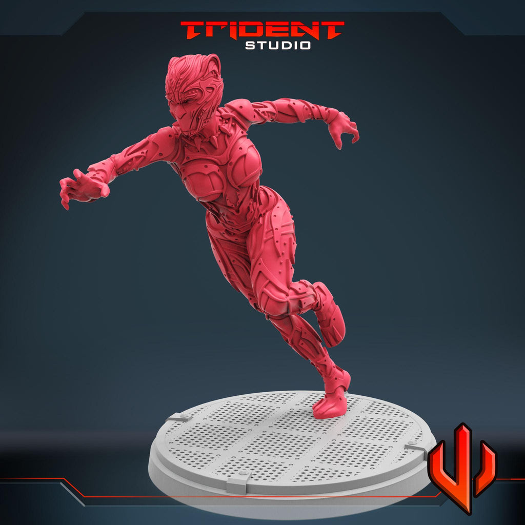 Black Panther Shuri B (Fan art sculpted by Trident Studio) (Crisis Protocol Proxy/Alternative)