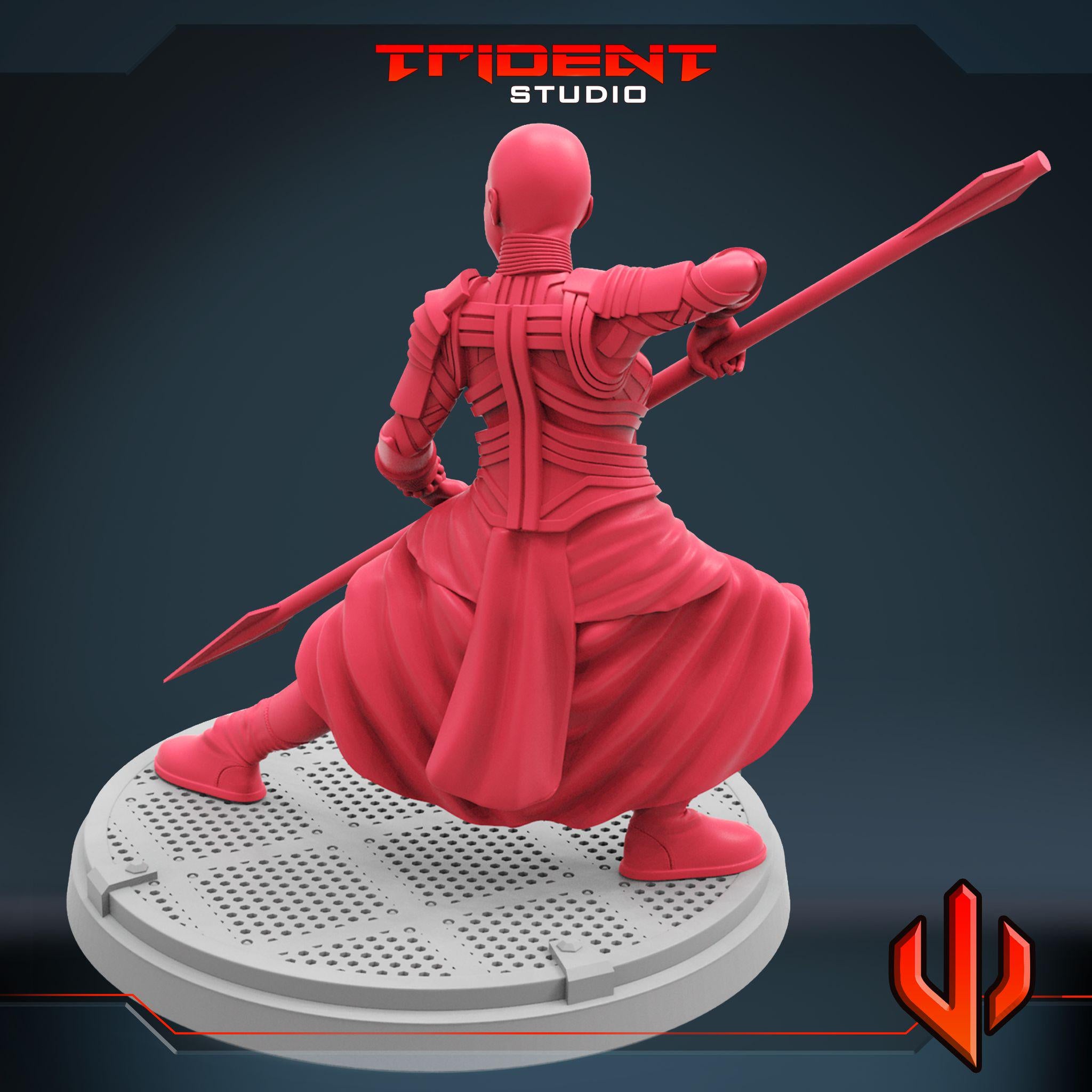 Okoye B  (Fan art sculpted by Trident Studio) (Crisis Protocol Proxy/Alternative)