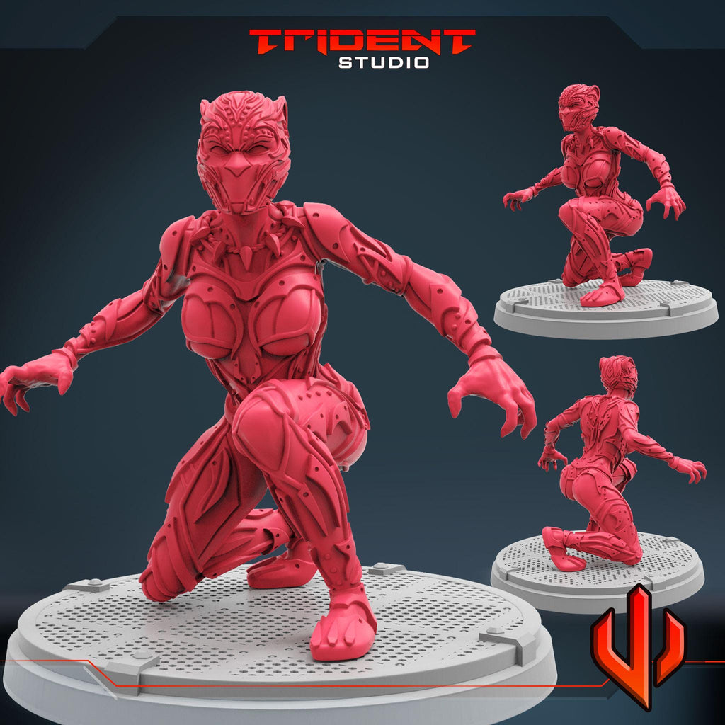 Black Panther Shuri A (Fan art sculpted by Trident Studio) (Crisis Protocol Proxy/Alternative)