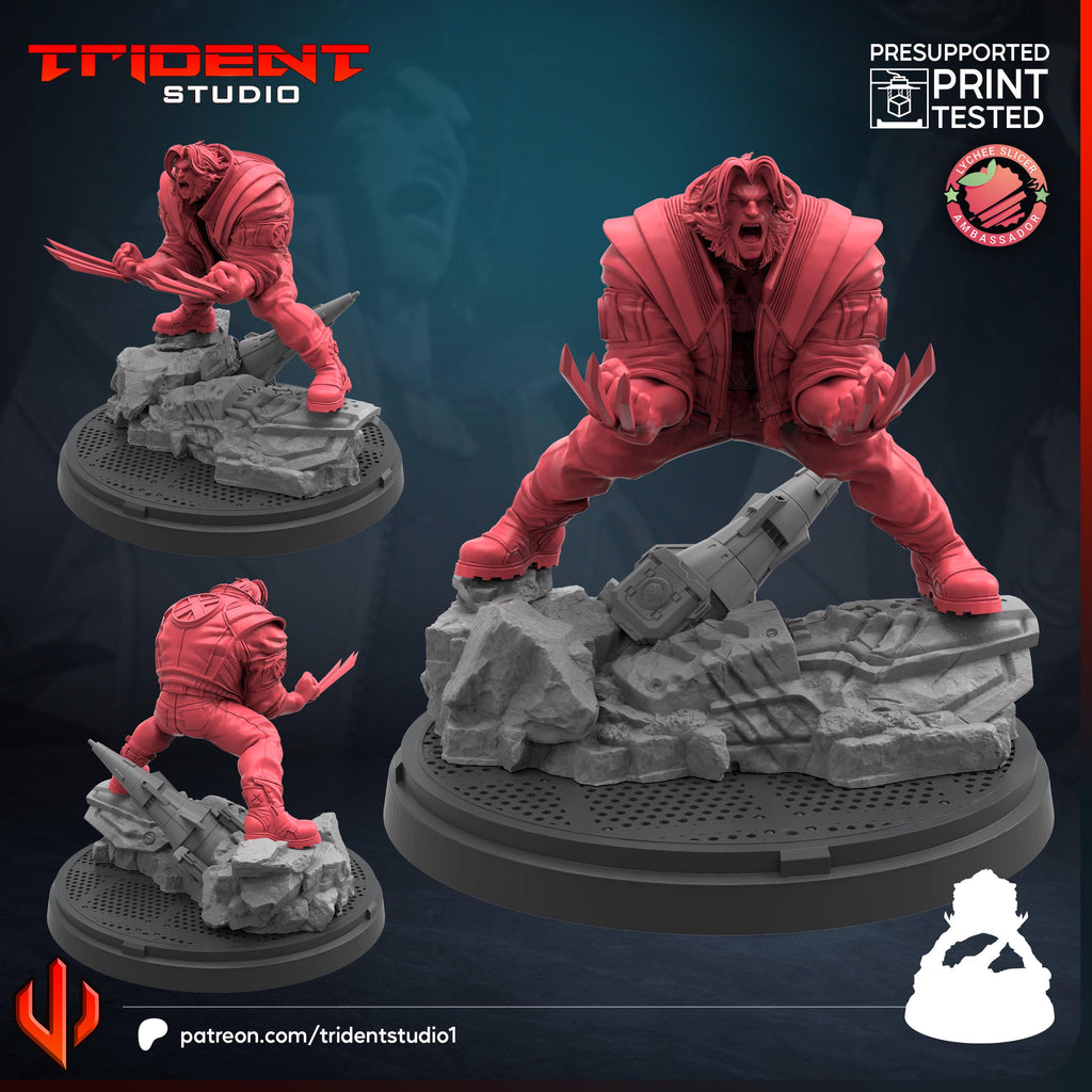 Wolverine Rivals (Fan art sculpted by Trident Studio) (Crisis Protocol Proxy/Alternative)