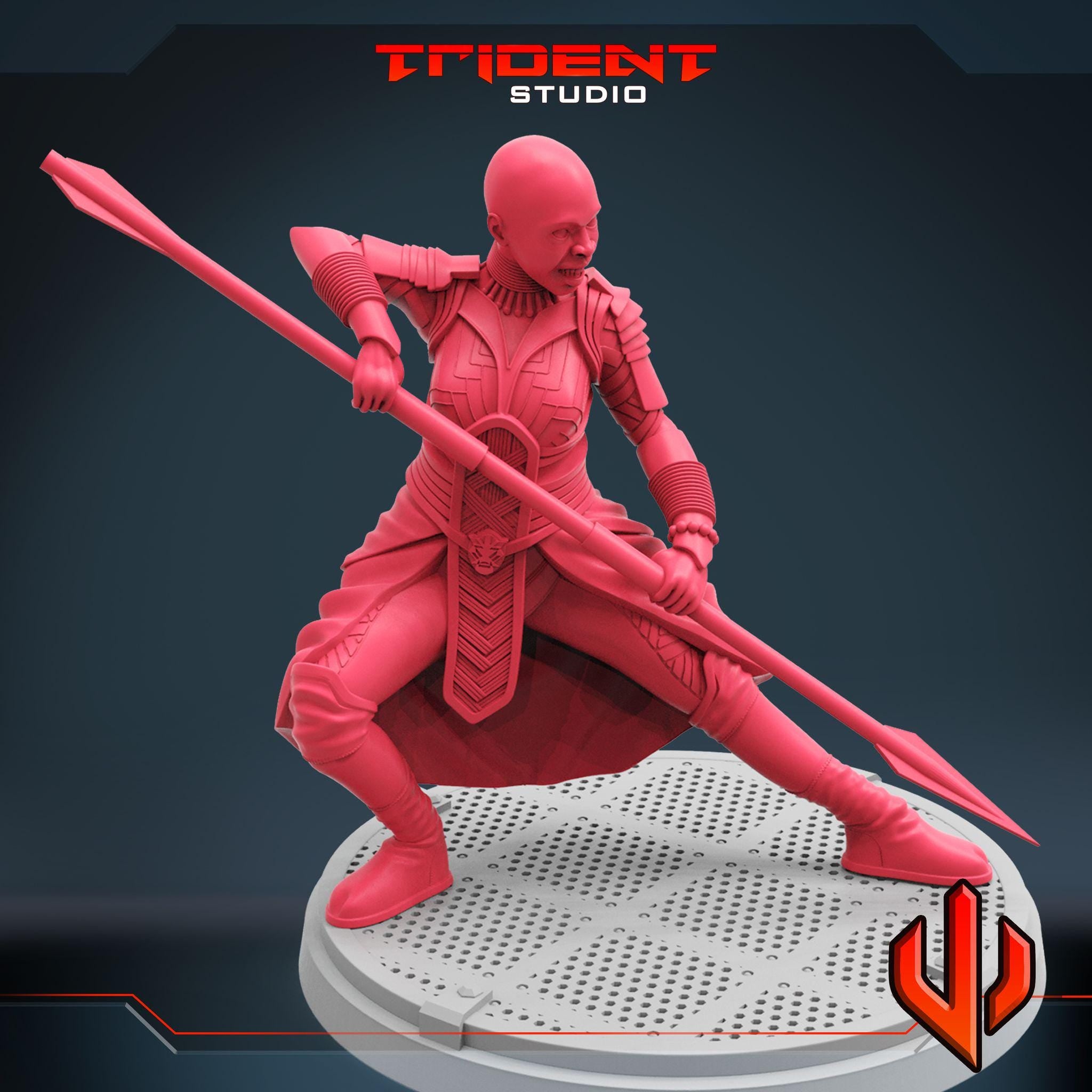 Okoye B  (Fan art sculpted by Trident Studio) (Crisis Protocol Proxy/Alternative)