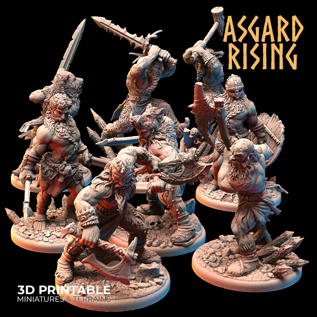 Viking Berserkers Warband