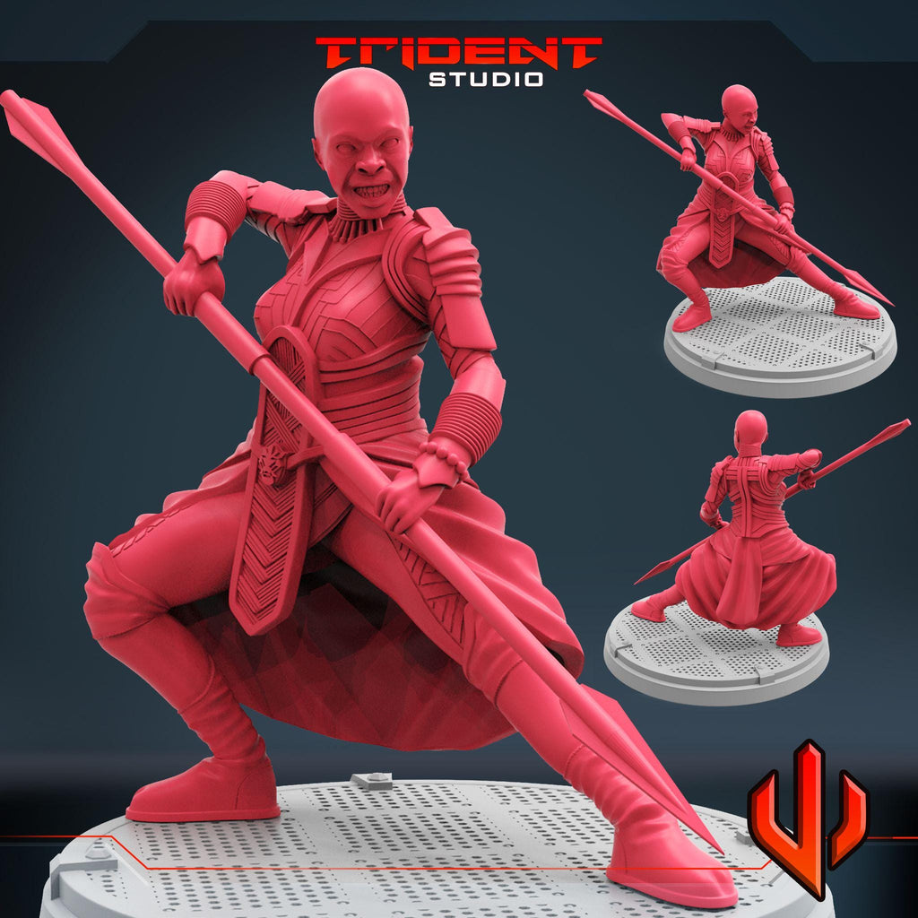 Okoye B  (Fan art sculpted by Trident Studio) (Crisis Protocol Proxy/Alternative)
